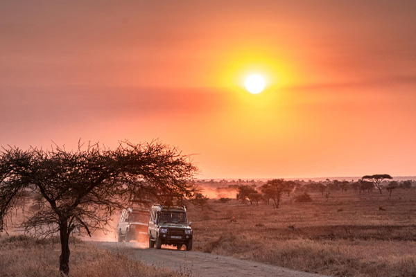 5 Days Honeymoon Safari